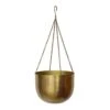 Mayfair Hanging Plant Pot - Antique Brass 1 Mayfair Hanging Plant Pot - Antique Brass -Indoor Plants Store Mayfair Hanging Plant Pot Antique Brass 30 x 21cm