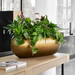 Metallic Boat Planter - Matt Honey -Indoor Plants Store Metallic Boat Planter Matt Honey 1
