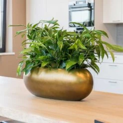 Metallic Boat Planter - Matt Honey -Indoor Plants Store Metallic Boat Planter Matt Honey 2
