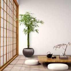 Metallic Globe Plant Pot - Matt Coffee -Indoor Plants Store Metallic Couple Plant Pot Matt Coffee LS1