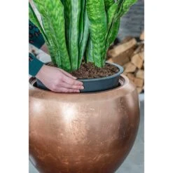 Metallic Couple Plant Pot - Matt Copper -Indoor Plants Store Metallic Couple Plant Pot Matt Copper Sansevieria Lifestyle Close