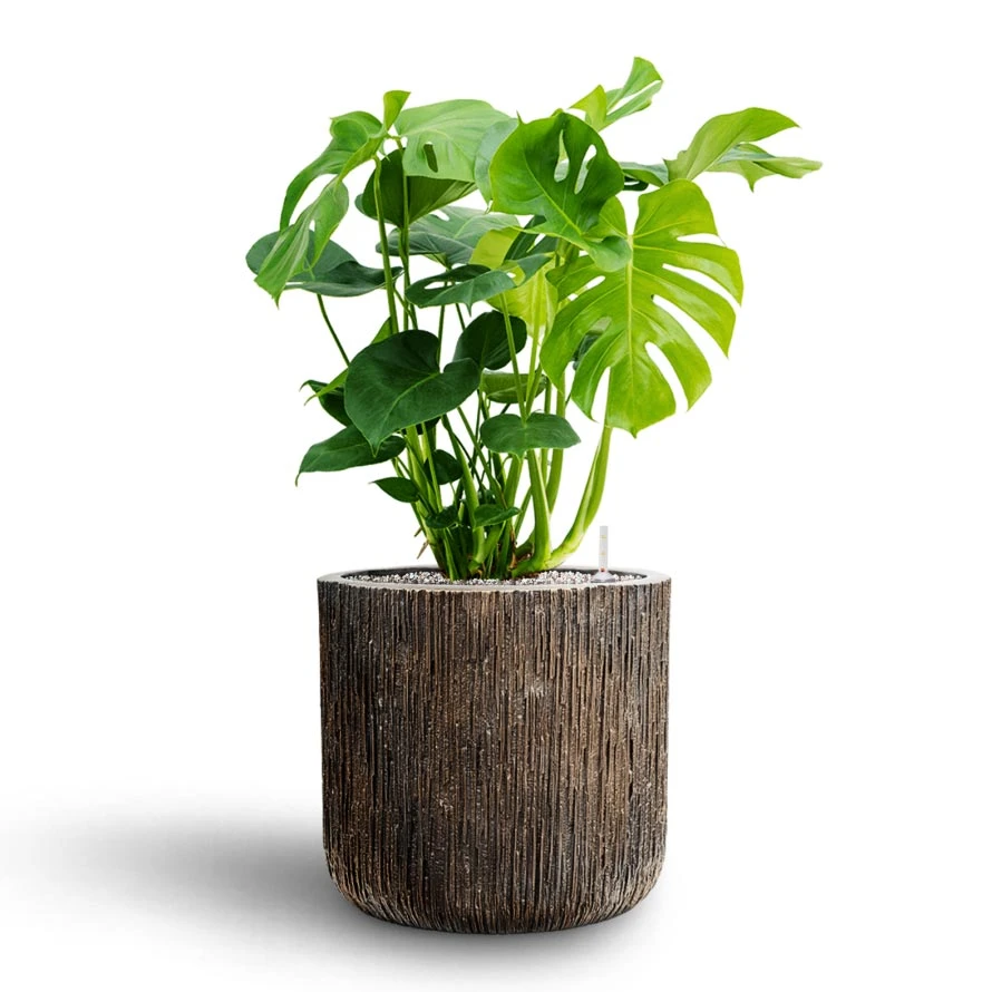 Luxe Lite Waterfall Cylinder Planter - Bronze 6 Luxe Lite Waterfall Cylinder Planter - Bronze - Image 4