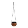 Mya Hanging Planter - Shiny Mocha -Indoor Plants Store Mya Hanging Planter Shiny Mocha 18x16cm 2