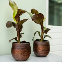 Mya Plant Pot - Shiny Mocha -Indoor Plants Store Mya Plant Pot Shiny Mocha Lifestyle 04