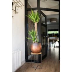 Mya Plant Pot - Shiny Mocha -Indoor Plants Store Mya Plant Pot Shiny Mocha Yucca Houseplant Plant Stand