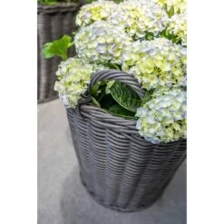Nanna Wikr Plant Basket - Dark Brown -Indoor Plants Store Nanna Wicker Plant Basket Dark Brown Outdoor Plants