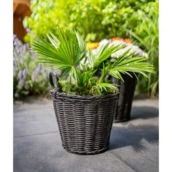 Nanna Wikr Plant Basket - Dark Brown -Indoor Plants Store Nanna Wicker Plant Basket Dark Brown Palm Tree