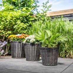 Nanna Wikr Plant Basket - Dark Brown -Indoor Plants Store Nanna Wicker Plant Baskets Dark Brown Outdoor Lifestyle