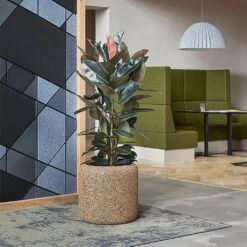 Naturescast Cylinder Planter - Natural -Indoor Plants Store Naturescast Cylinder Planter Natural Lifestyle