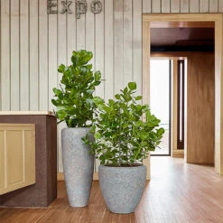 Naturescast Partner Planter - Grey -Indoor Plants Store Naturescast Partner Couple Planter Grey Liestyle 05593378 b030 4331 9376 1d57c9e7d03e