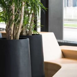 Nax Natural Tall Planter - Black -Indoor Plants Store Nax Natural Planter Black Office Planters Close Up