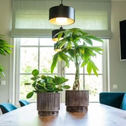 Nella Plant Pot - Coffee 15 Nella Plant Pot - Coffee -Indoor Plants Store Nella Coffee 2