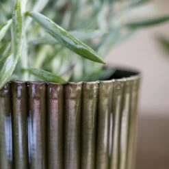 Nella Plant Pot - Forest -Indoor Plants Store Nella Forest 3