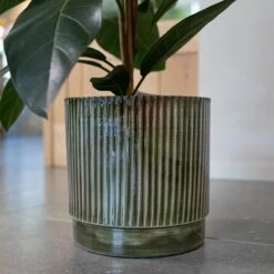 Nella Plant Pot - Forest -Indoor Plants Store Nella Forest 6