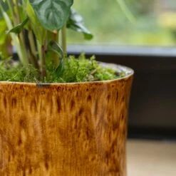 Nolan Plant Pot - Caramel -Indoor Plants Store Nolan Caramel 6