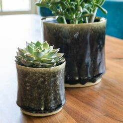 Nolan Plant Pot - Pine -Indoor Plants Store Nolan Pine 2