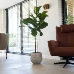 Noor Plant Pot - Metallic Grey -Indoor Plants Store Noor Plant Pot Metallic Grey 4