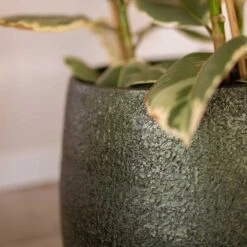 Noor Plant Pot - Velvet Green -Indoor Plants Store Noor Plant Pot Velvet Green 3