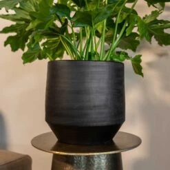 Norell Plant Pot - Black 37 Norell Plant Pot - Black -Indoor Plants Store Norell black 03