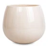 Nova Plant Pot - Cream -Indoor Plants Store Nova Plant Pot Cream 23x18cm