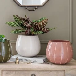 Nova Plant Pot - Rose -Indoor Plants Store Nova Plant Pot Rose 23 x 18cm 6f69093b d56e 46c7 94b7 24c715c1effc