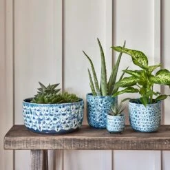 Ocean Glaze Plant Bowl - Sapphire -Indoor Plants Store Ocean Glaze Plant Bowl Sapphire 25 x 12.5cm 2 1