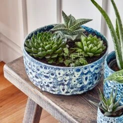 Ocean Glaze Plant Bowl - Sapphire -Indoor Plants Store Ocean Glaze Plant Bowl Sapphire 25 x 12.5cm