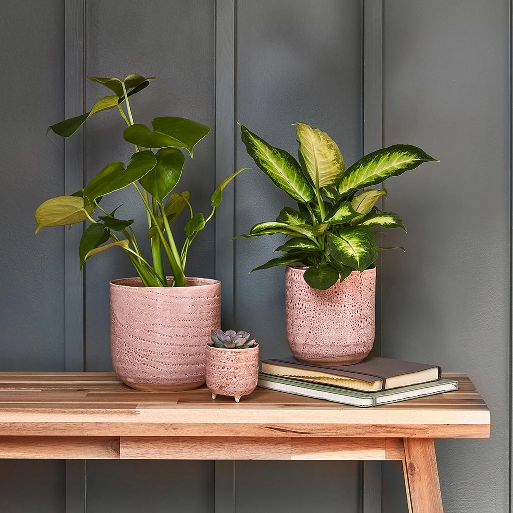 Ocean Glaze Plant Pot - Morganite 10 Ocean Glaze Plant Pot - Morganite - Image 8