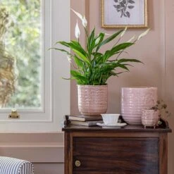 Ocean Glaze Plant Pot - Morganite 20 Ocean Glaze Plant Pot - Morganite -Indoor Plants Store Ocean Glaze Plant Pot Morganite 16 x 16cm