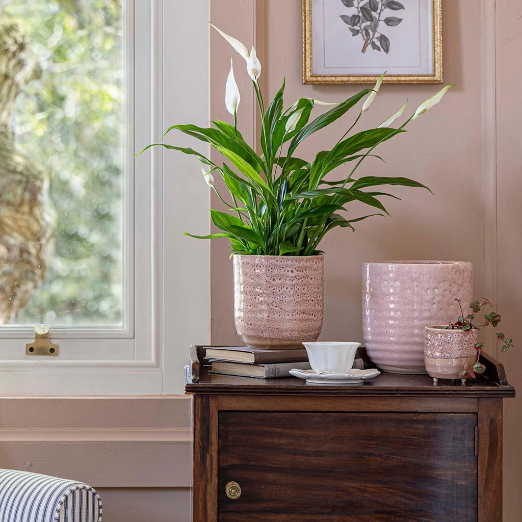 Ocean Glaze Plant Pot - Morganite 11 Ocean Glaze Plant Pot - Morganite - Image 9