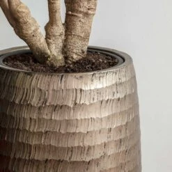 Opus Hammered Partner Planter - Gold 10 Opus Hammered Partner Planter - Gold -Indoor Plants Store Opus Hammered Partner Planter Gold 1