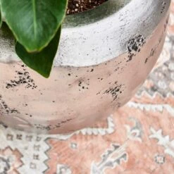 Opus Raw Couple Planter - Silver 19 Opus Raw Couple Planter - Silver -Indoor Plants Store Opus Raw Hit Silver 2