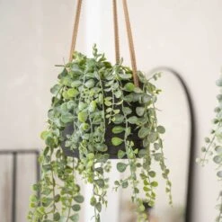 Patt Hanging Plant Pot - Black Washed -Indoor Plants Store Patt Hanging Plant Pot Black Washed Trailing Houseplant