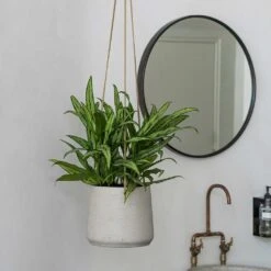 Patt Hanging Plant Pot - Grey Washed -Indoor Plants Store Patt Hanging Plant Pot Grey Washed
