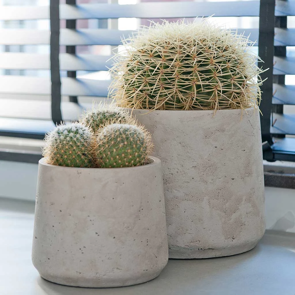 Patt Plant Pot - Grey Washed 10 Patt Plant Pot - Grey Washed - Image 8