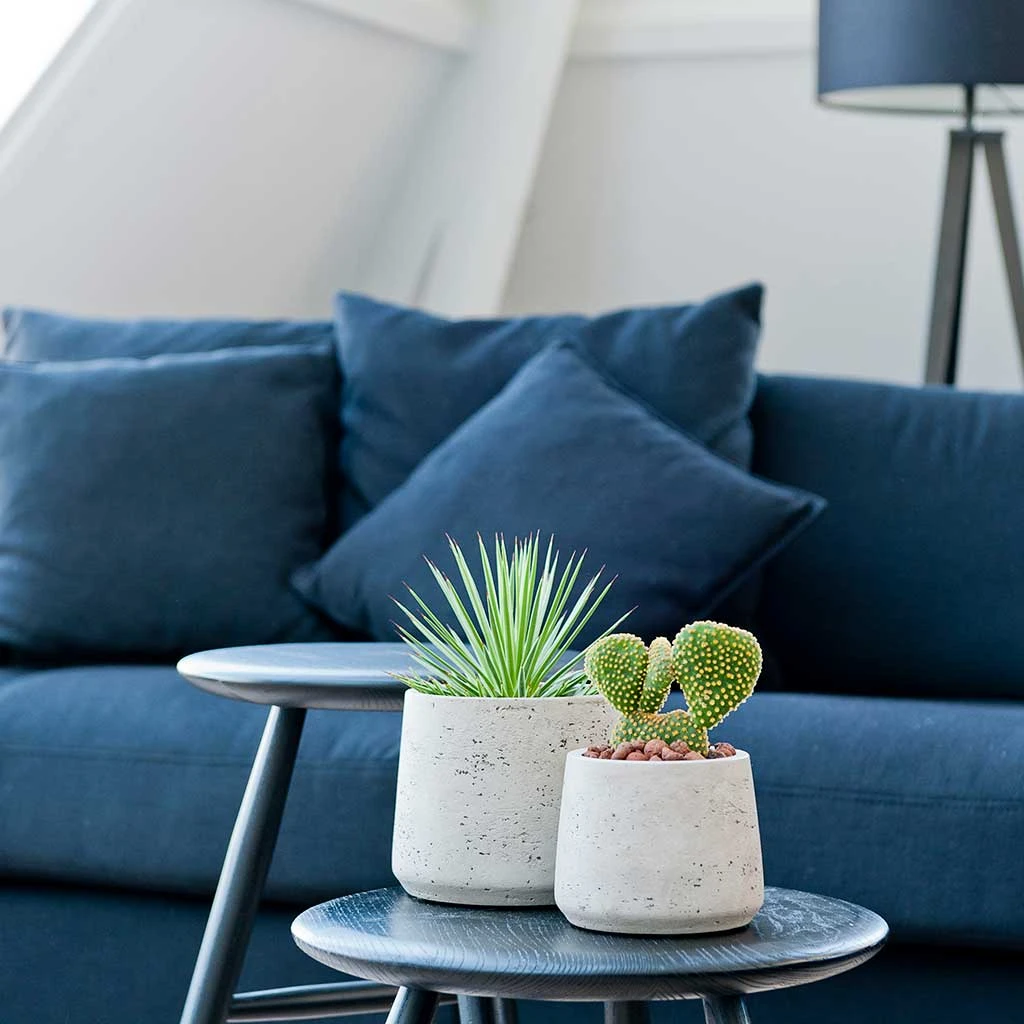 Patt Plant Pot - Grey Washed 6 Patt Plant Pot - Grey Washed - Image 4