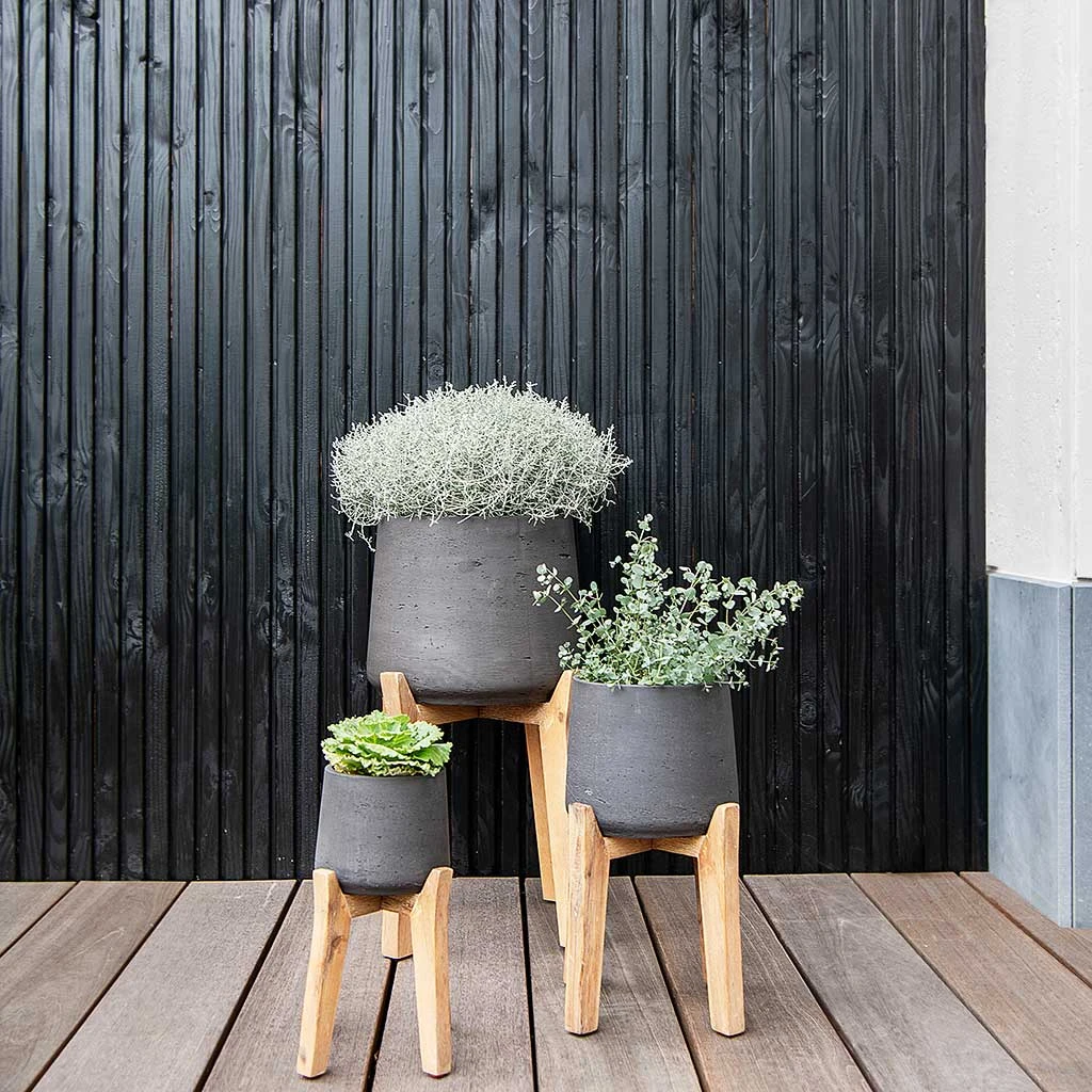 Patt Plant Pot - Tall Stand - Black Washed 5 Patt Plant Pot - Tall Stand - Black Washed - Image 3