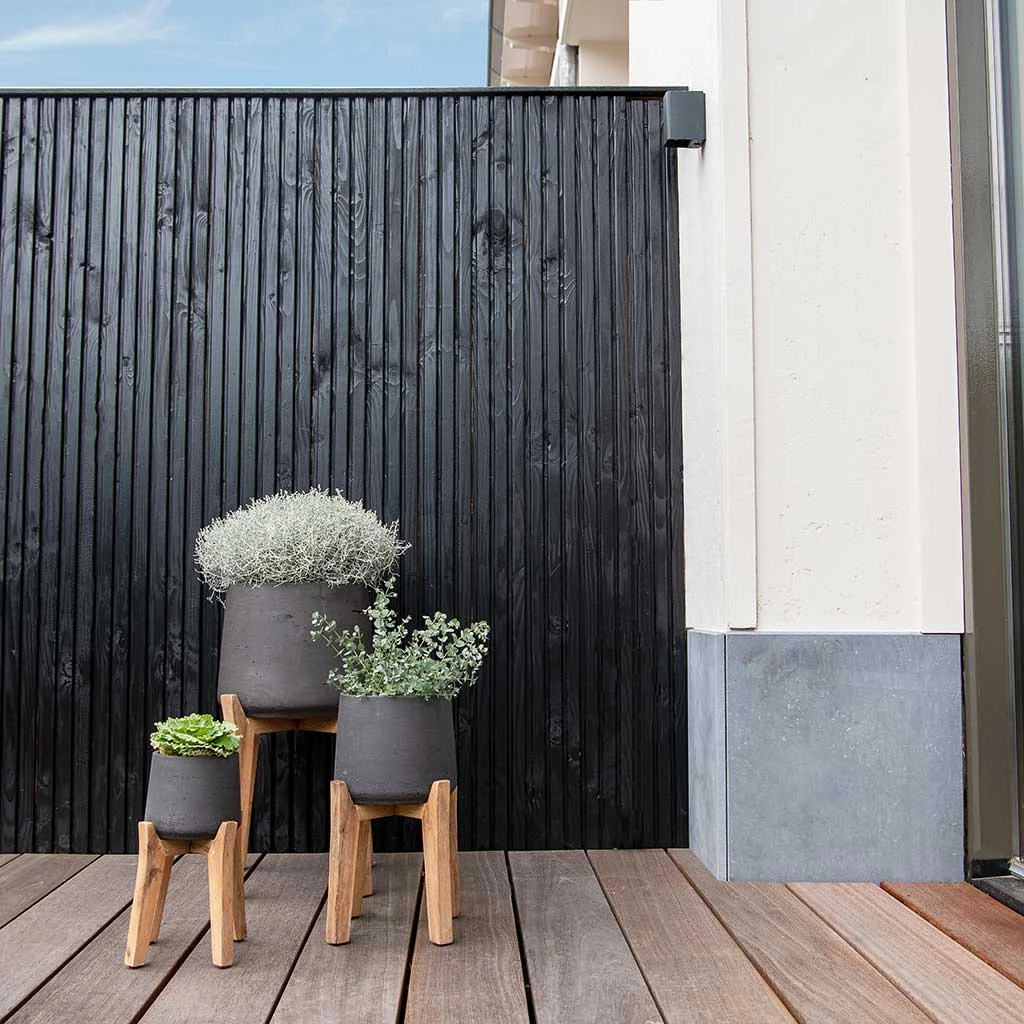 Patt Plant Pot - Tall Stand - Black Washed 7 Patt Plant Pot - Tall Stand - Black Washed - Image 5