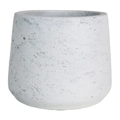 Patt Plant Pot - White Washed -Indoor Plants Store Patt Plant Pot White Washed 14x11cm d0748a4e 0809 4ae8 a53d f6e1cc11ca7a
