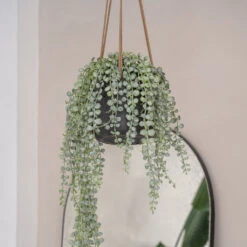 Patt Hanging Plant Pot - Black Washed -Indoor Plants Store PattHangingPlantPot BlackWashed 3