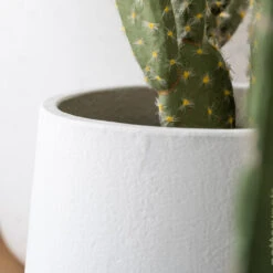 Patt Plant Pot - White Washed -Indoor Plants Store PattPlantPot WhiteWashed 2