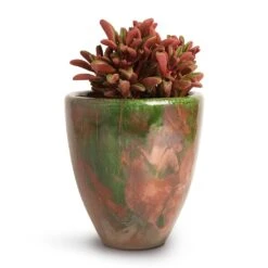 Peperomia Graveolens - Ruby Glow Radiator Plant -Indoor Plants Store Peperomia graveolens Ruby Glow Radiator Plant 10.5x17cm Livin Beauty Flowerpot Copper Green Matt Smooth 15x17cm