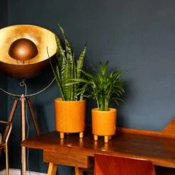 Pisa Plant Pot - Mustard -Indoor Plants Store Pisa Plant Pot Mustard 20 x 24cm