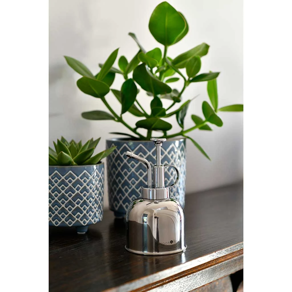 Indoor Plant Mister - Stainless Steel 6 Indoor Plant Mister - Stainless Steel - Image 4