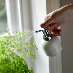 Indoor Plant Mister - Stone 9 Indoor Plant Mister - Stone -Indoor Plants Store Plant Mister Stone Houseplants