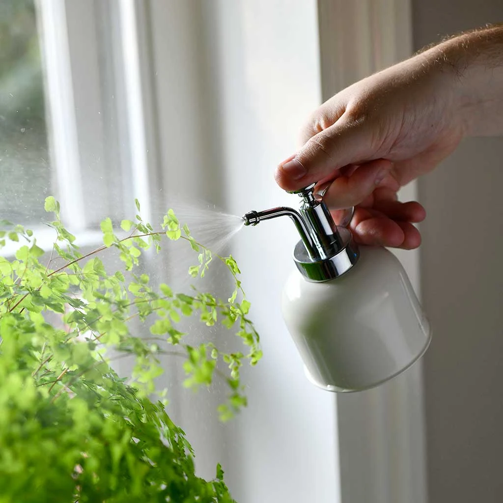 Indoor Plant Mister - Stone 5 Indoor Plant Mister - Stone - Image 3