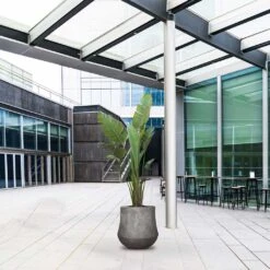 Polystone Coated Darcy Planter - Raw Grey -Indoor Plants Store Polystone Coated Darcy Planter Raw Grey LS1