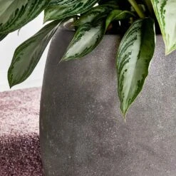 Polystone Coated Plain Balloon Planter - Raw Grey -Indoor Plants Store Polystone Coated Plain Balloon Planter Raw Grey Lifestyle Close