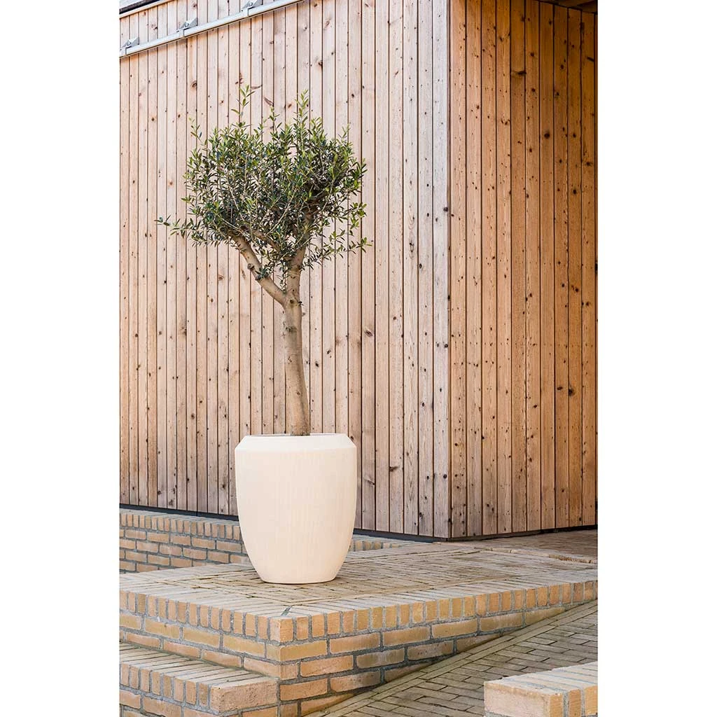 Polystone Coated Plain Coppa Planter - Natural 5 Polystone Coated Plain Coppa Planter - Natural - Image 3