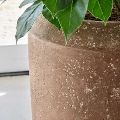 Polystone Coated Plain Coppa Planter - Rock 33 Polystone Coated Plain Coppa Planter - Rock -Indoor Plants Store Polystone Coated Plain Coppa Planter Rock 1